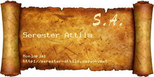 Serester Attila névjegykártya
