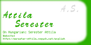 attila serester business card